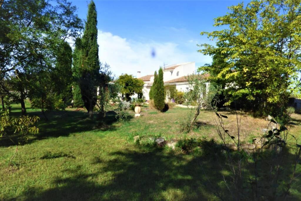 Ibis - Villa Avec Piscine, Jardin Et Parking Arles Exterior photo